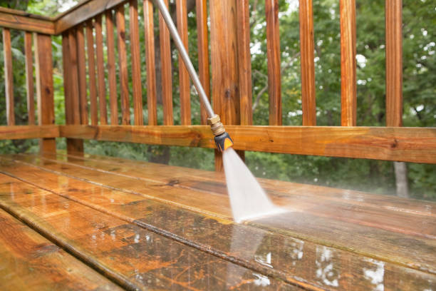 Best Fence Cleaning  in Chlicothe, IL